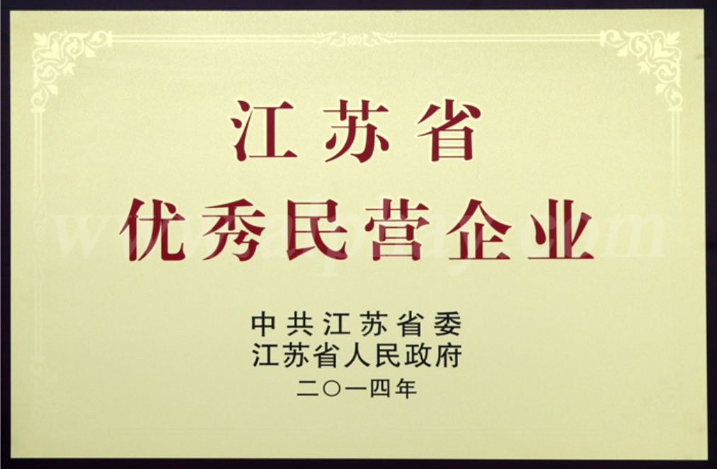 江蘇省優(yōu)秀民營(yíng)企業(yè)